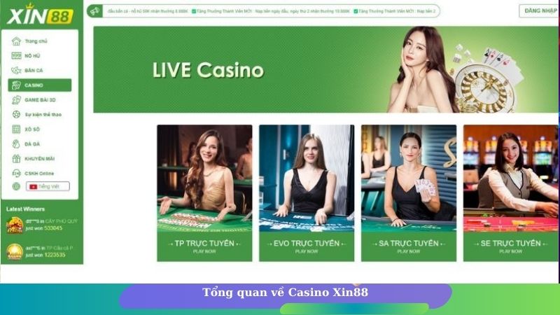 Tổng quan về Casino Xin88