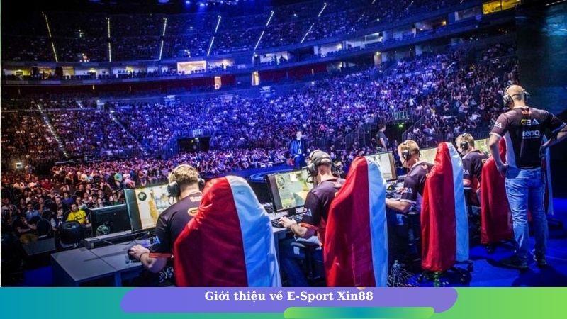 Giới thiệu về E-Sport Xin88